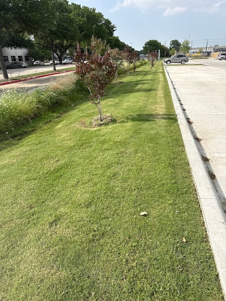 Tolentino's Landscaping