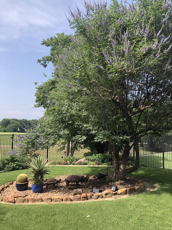 The Planted Stone Landscaping