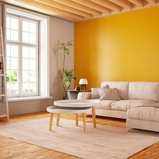 Painter Bros of North Dallas