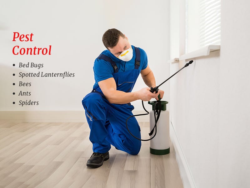 Ray's Pest Control