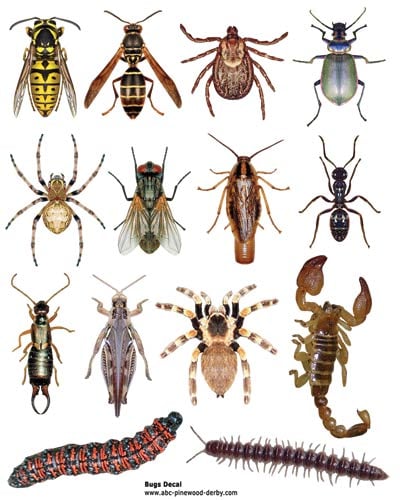 M W Exterminating