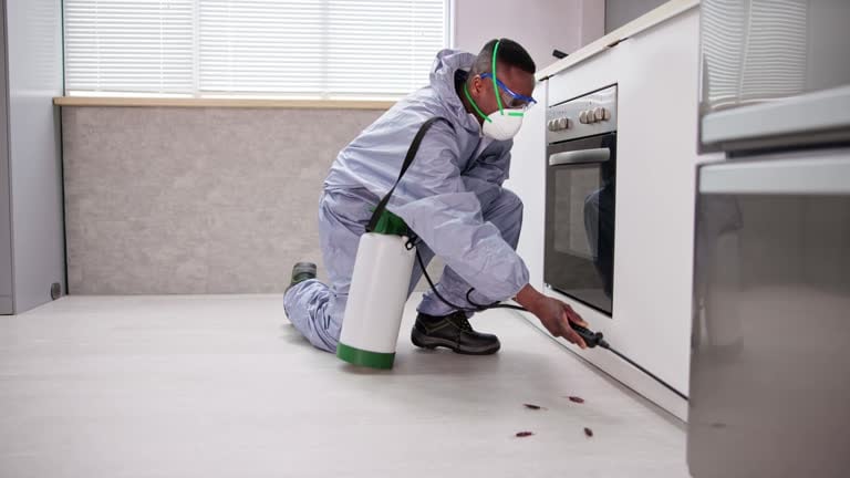 Mesquite Precision Pest Control Experts
