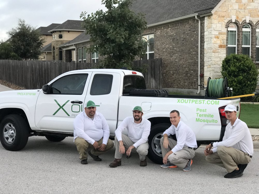 X Out Pest Services