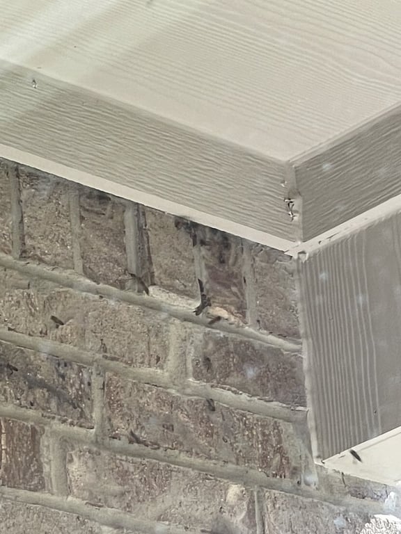 Little Giant Beekeepers & Bee Removal Specialists