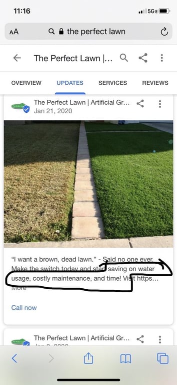 The Perfect Lawn