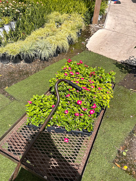Fercho Landscaping DFW