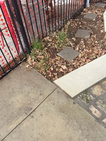 Solis Masonry