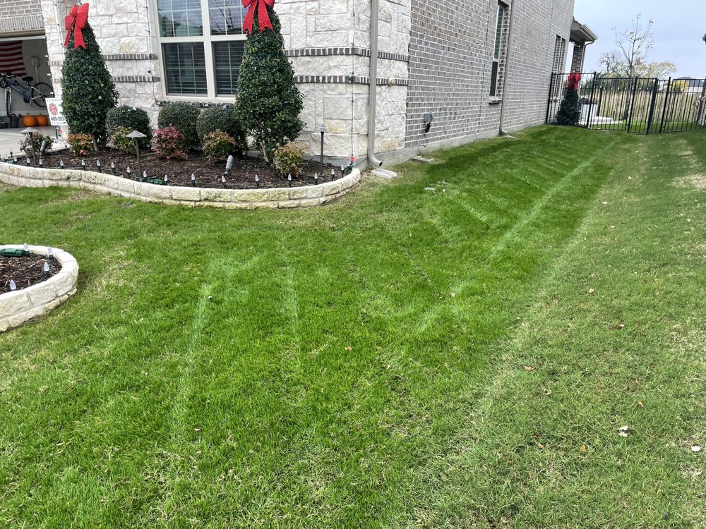 Verde Lawn DFW