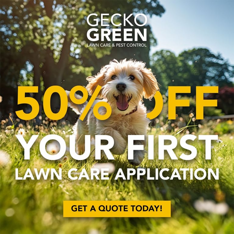 Gecko Green