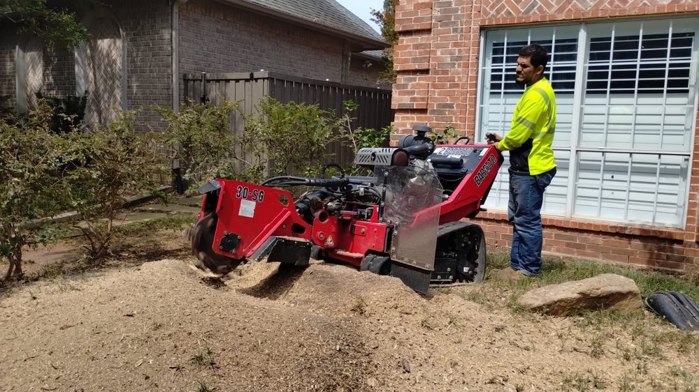 Zelaya Landscape and Tree Service