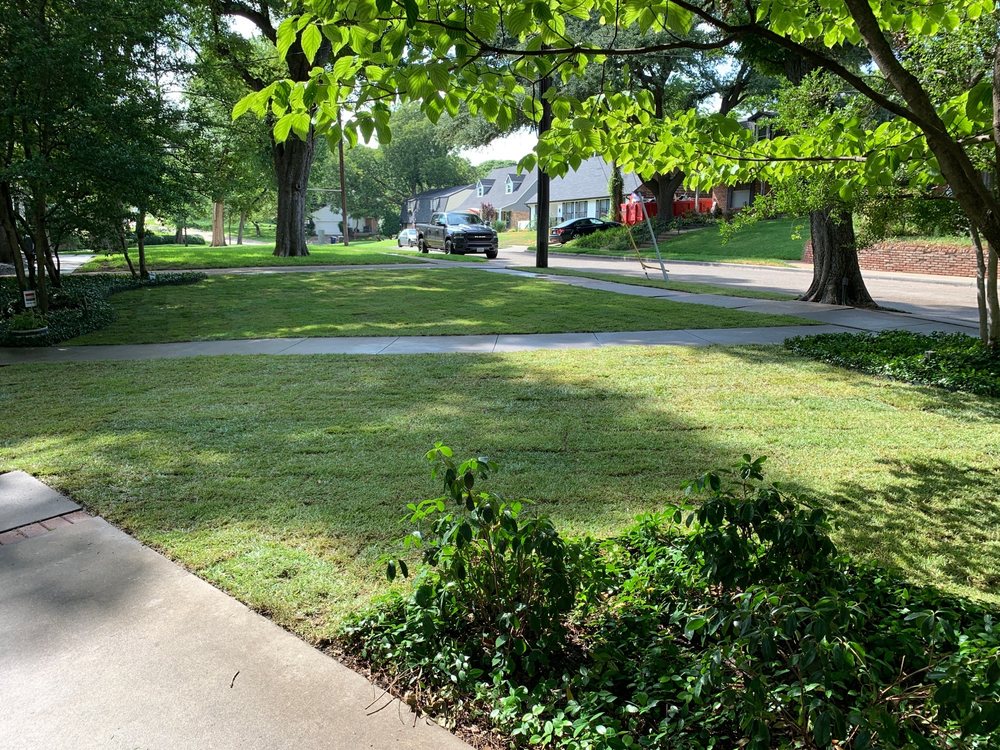 Saucedo Landscaping