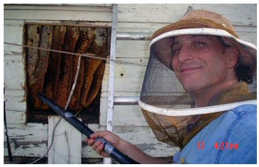 Nature King Pest Management