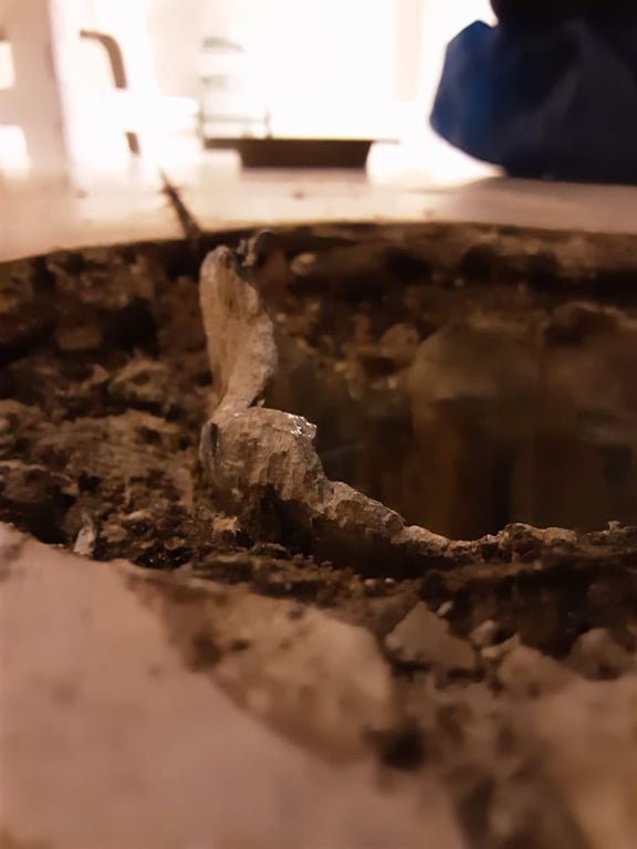 Bee Prestigious Plumbing