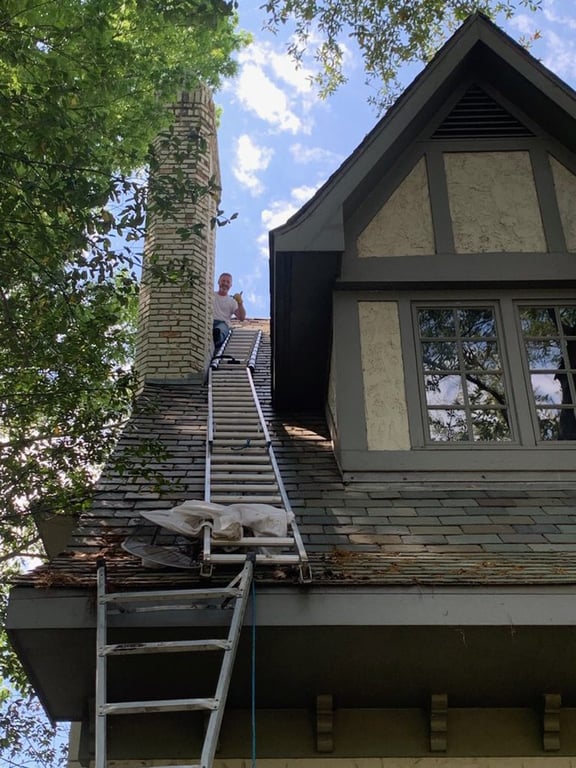 Honey Bee Rescue