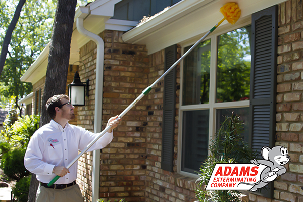 Adams Exterminating