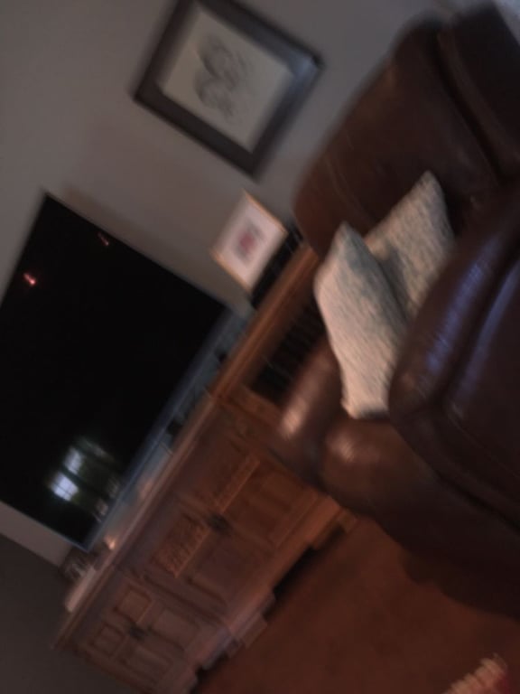 Fireplace Door Guy