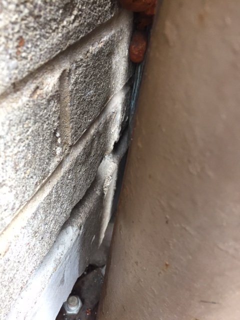 Sureguard Termite & Pest Services