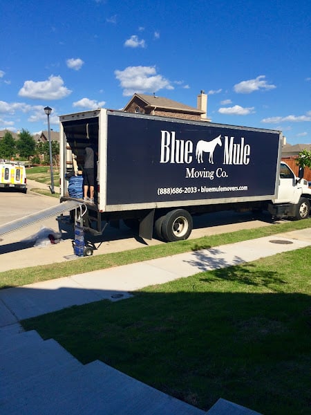 Blue Mule Movers