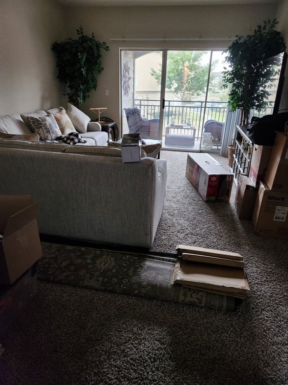 Reasonable Moving Services