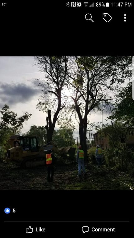 L & T Landscaping