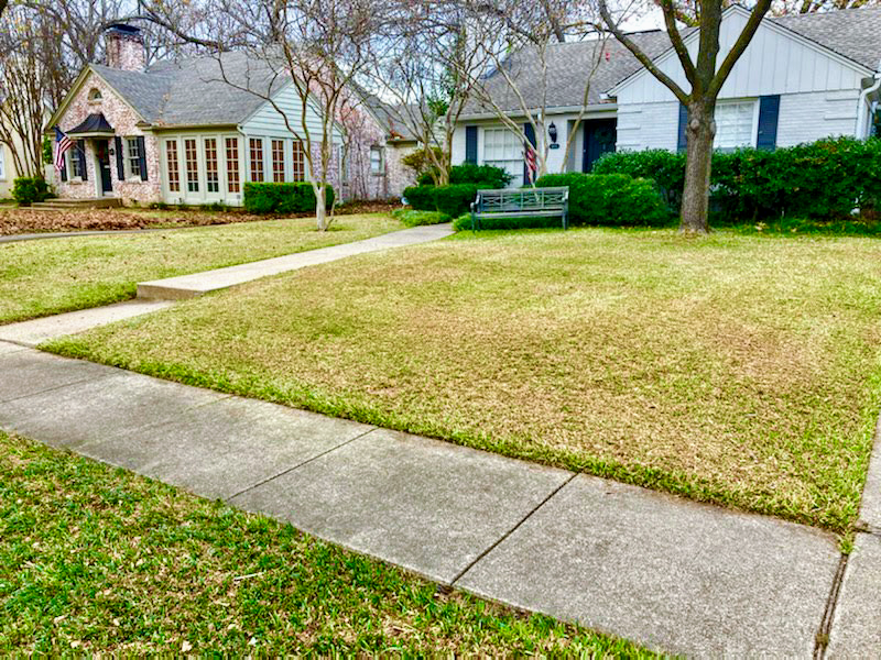 Timberline Lawn & Landscape