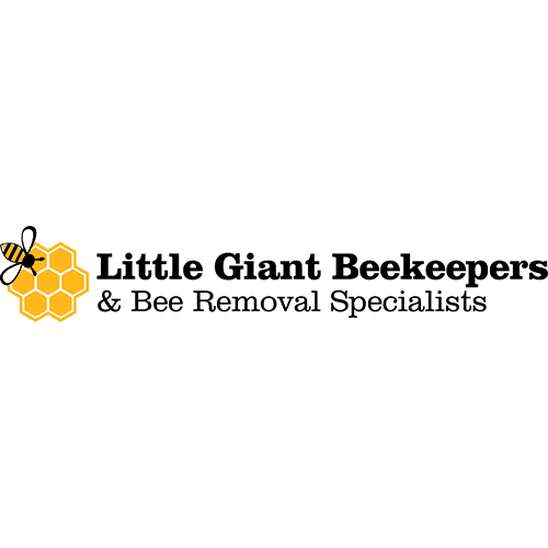 Little Giant Beekeepers & Bee Removal Specialists