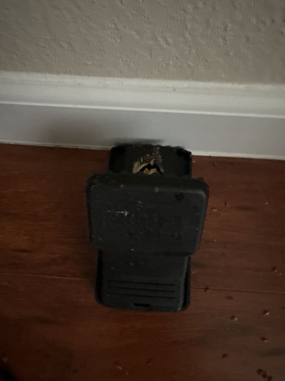 GMG Pest Control