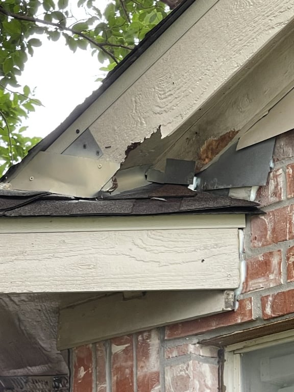 Sureguard Termite & Pest Services
