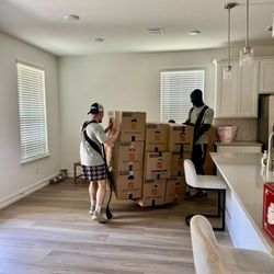Movers In Town