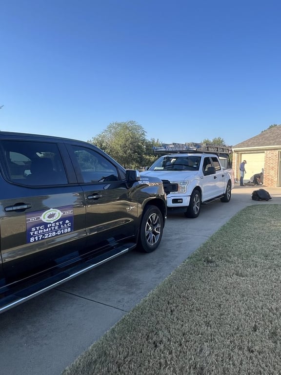 STC Pest & Termite