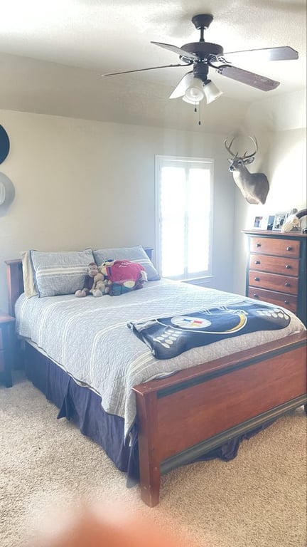 JC Painting Services