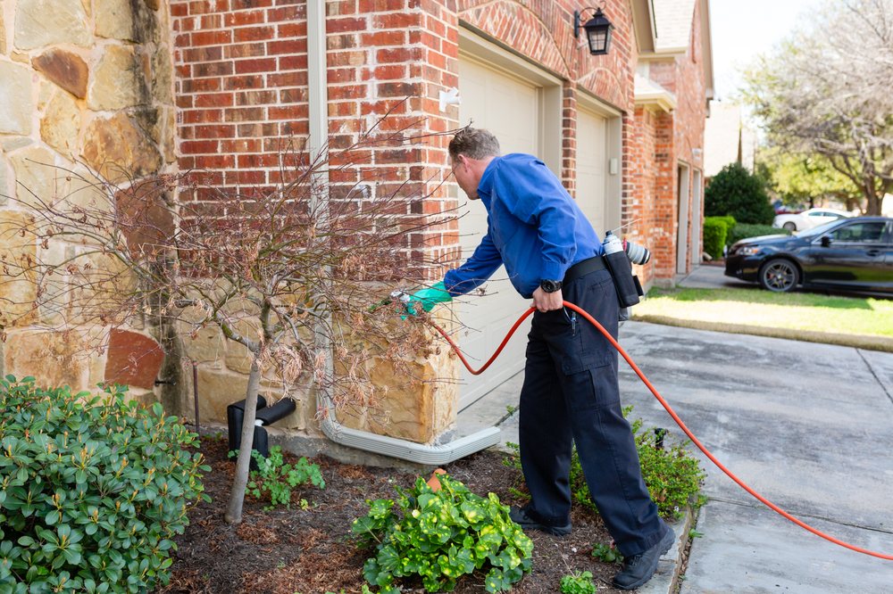 Pest Solutions of North Texas