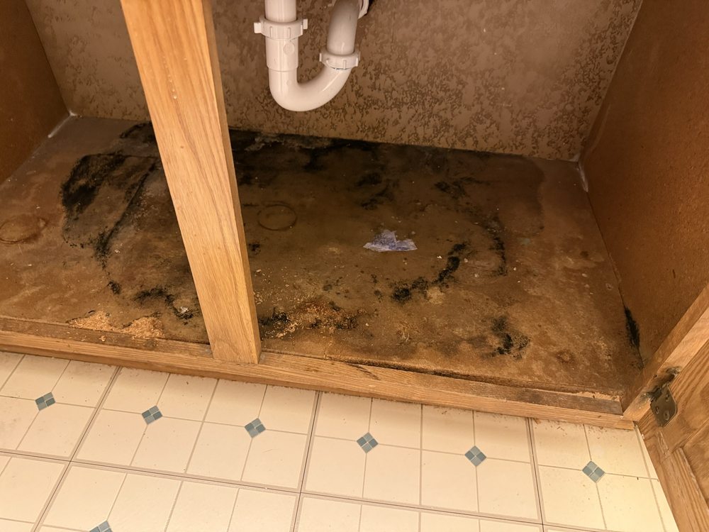 Willard Heating, Cooling, & Plumbing