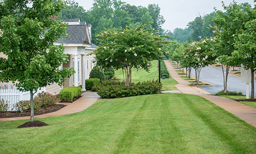 U.S. Lawns - Dallas