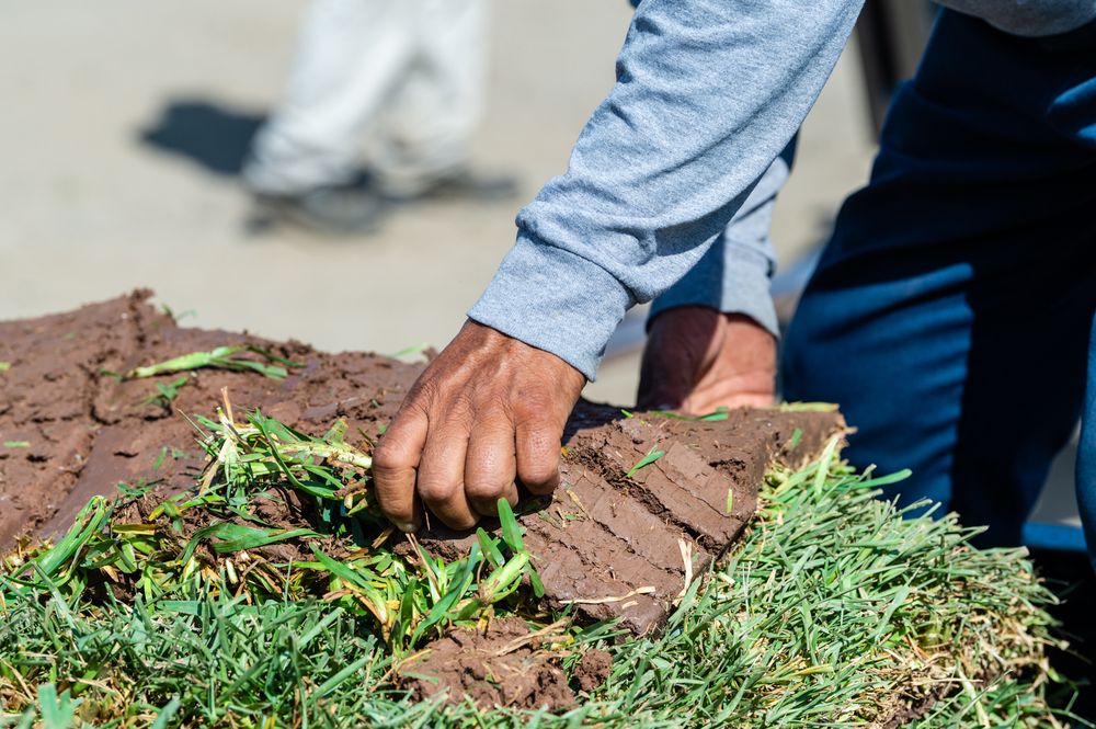 J&J Sod Company