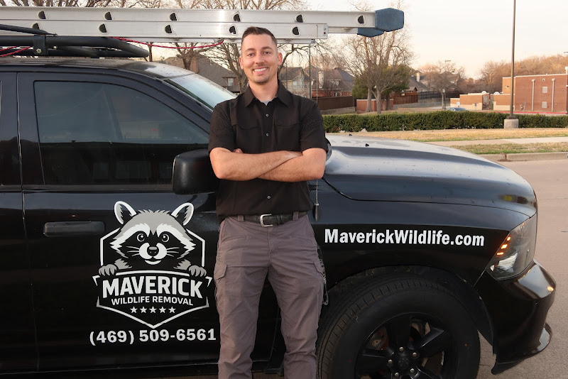 Maverick Wildlife Removal