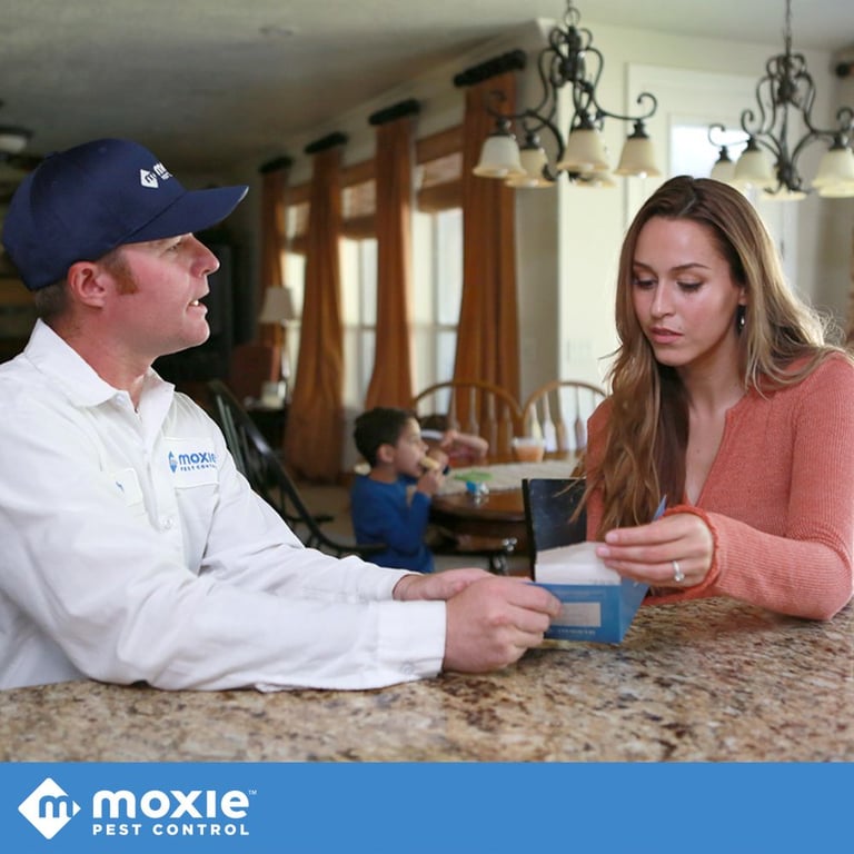 Moxie Pest Control - Dallas