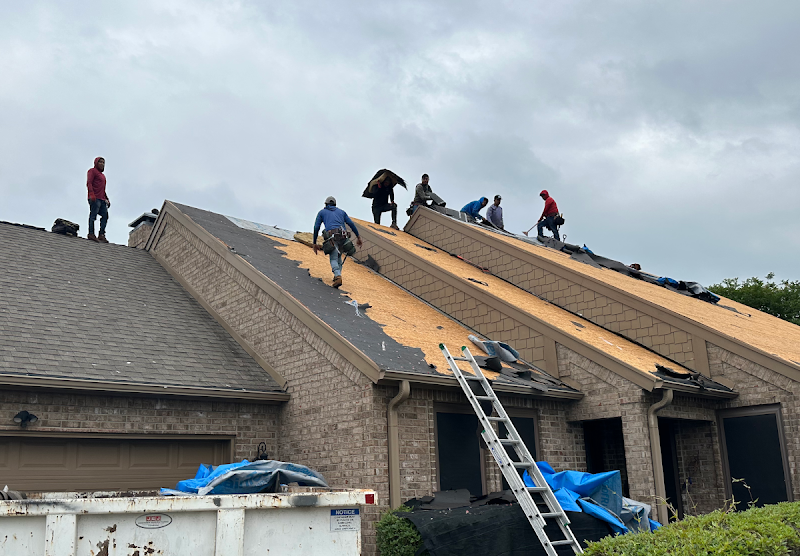 Beyond Shingles LLC