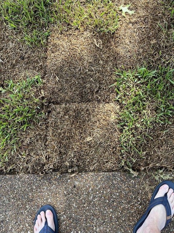 J&J Sod Company