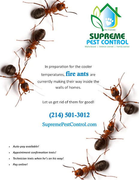 Supreme Pest Control