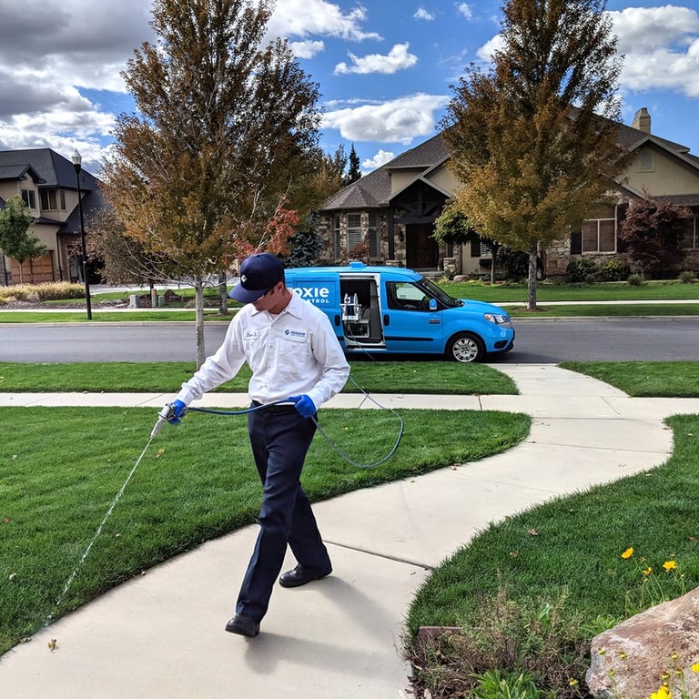 Moxie Pest Control - Dallas