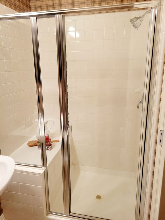Plano Shower Door