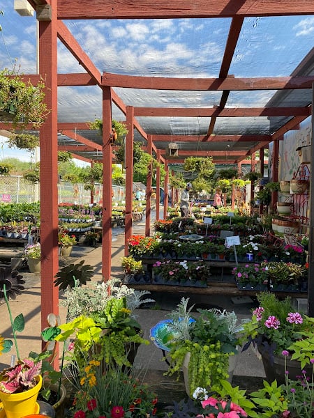 Puckett's Nursery & Landscape