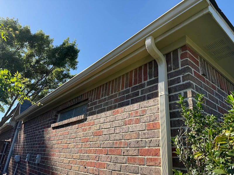 Spiders Painting Services