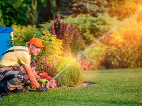 Xscapes Irrigation and Landscapes