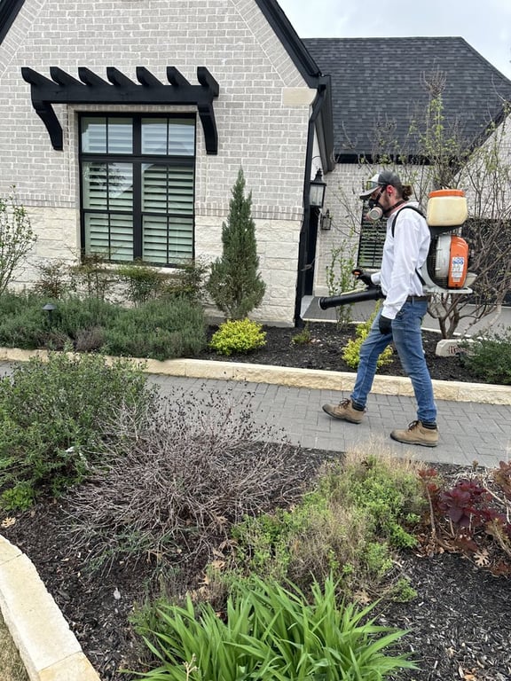 Big D Pest & Termite Services