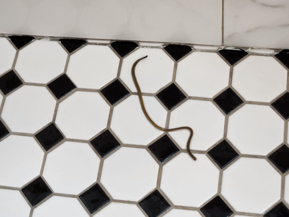 EcoStar Remodeling & Construction