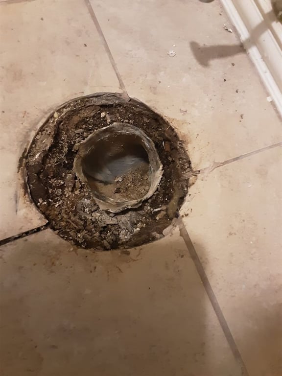 Bee Prestigious Plumbing