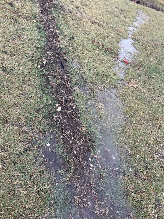 A+ Landscaping & Services