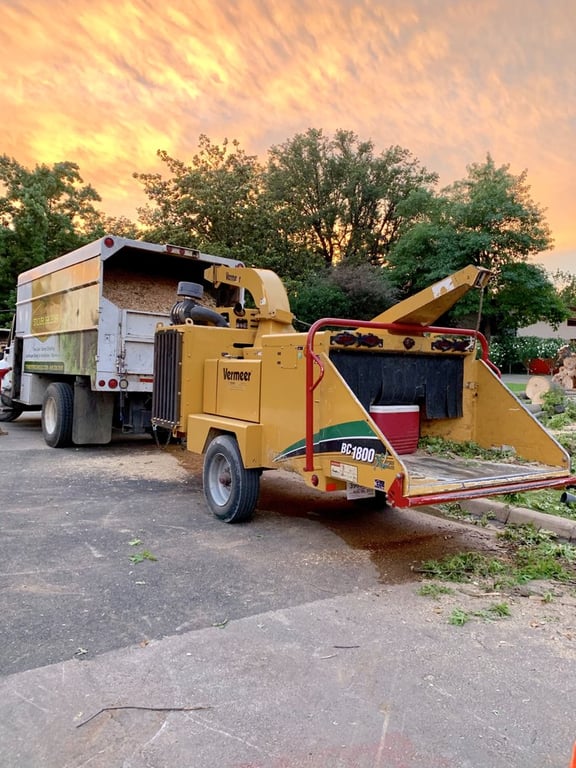 Torres Tree Service